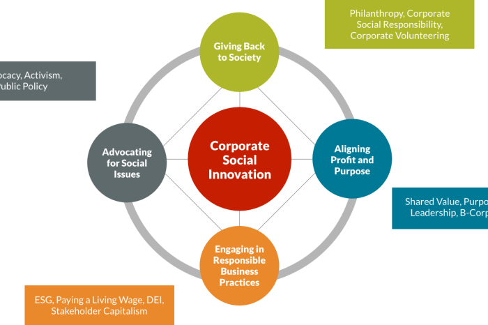 Corporate Social Innovation Methodology