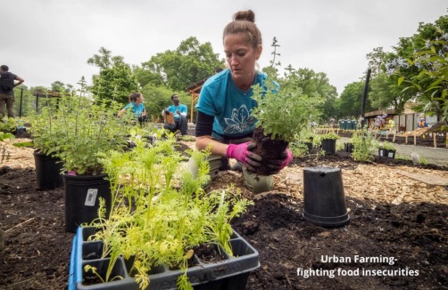 Urban Farming