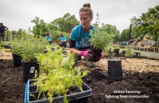 Urban Farming