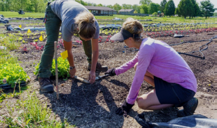 Gardening