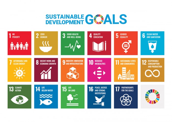 sustainable development goals chart